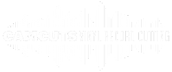 CamCuts Vinyl Record Cutting